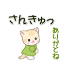 秋冬セーターのベビーにゃんこ（個別スタンプ：23）