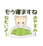 秋冬セーターのベビーにゃんこ（個別スタンプ：33）