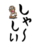 【デカ文字】博多弁じい（個別スタンプ：31）