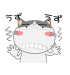 ハチワレ猫★擬音語・擬態語（個別スタンプ：3）