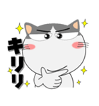 ハチワレ猫★擬音語・擬態語（個別スタンプ：7）