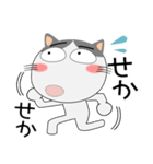 ハチワレ猫★擬音語・擬態語（個別スタンプ：14）
