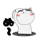 ハチワレ猫★擬音語・擬態語（個別スタンプ：23）