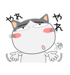 ハチワレ猫★擬音語・擬態語（個別スタンプ：36）