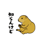 うごくゆかいな動物たち 関西弁（個別スタンプ：7）