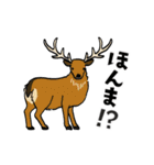 うごくゆかいな動物たち 関西弁（個別スタンプ：14）