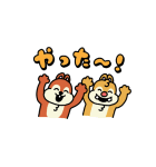 けたたましく動く！チップとデール（個別スタンプ：17）