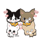 【チワワ】愛犬の名前にできる！！カスタム（個別スタンプ：4）