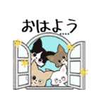 【チワワ】愛犬の名前にできる！！カスタム（個別スタンプ：9）