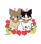 【チワワ】愛犬の名前にできる！！カスタム（個別スタンプ：19）
