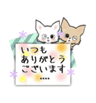 【チワワ】愛犬の名前にできる！！カスタム（個別スタンプ：20）