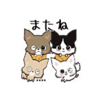 【チワワ】愛犬の名前にできる！！カスタム（個別スタンプ：40）