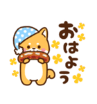 赤豆柴 きなこ♡毎日使えるスタンプ（個別スタンプ：1）