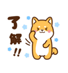 赤豆柴 きなこ♡毎日使えるスタンプ（個別スタンプ：13）