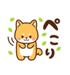 赤豆柴 きなこ♡毎日使えるスタンプ（個別スタンプ：16）