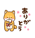 赤豆柴 きなこ♡毎日使えるスタンプ（個別スタンプ：19）