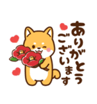 赤豆柴 きなこ♡毎日使えるスタンプ（個別スタンプ：20）