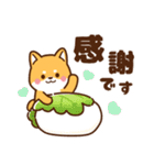 赤豆柴 きなこ♡毎日使えるスタンプ（個別スタンプ：21）