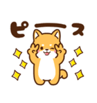 赤豆柴 きなこ♡毎日使えるスタンプ（個別スタンプ：28）