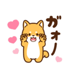 赤豆柴 きなこ♡毎日使えるスタンプ（個別スタンプ：31）