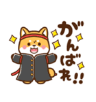 赤豆柴 きなこ♡毎日使えるスタンプ（個別スタンプ：33）
