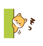 赤豆柴 きなこ♡毎日使えるスタンプ（個別スタンプ：34）