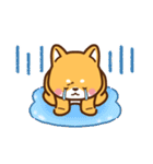 赤豆柴 きなこ♡毎日使えるスタンプ（個別スタンプ：36）