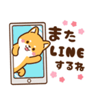 赤豆柴 きなこ♡毎日使えるスタンプ（個別スタンプ：39）