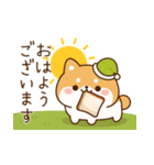 飛び出す！わんわんず3（毎日連絡）（個別スタンプ：1）