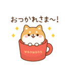 飛び出す！わんわんず3（毎日連絡）（個別スタンプ：5）