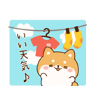 飛び出す！わんわんず3（毎日連絡）（個別スタンプ：9）