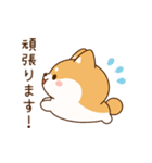 飛び出す！わんわんず3（毎日連絡）（個別スタンプ：13）