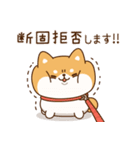 飛び出す！わんわんず3（毎日連絡）（個別スタンプ：19）