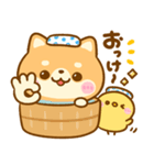 豆柴♡だじゃれ（個別スタンプ：1）