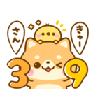 豆柴♡だじゃれ（個別スタンプ：3）