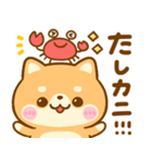 豆柴♡だじゃれ（個別スタンプ：4）