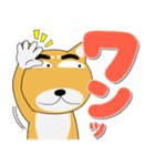 毎日、柴犬くん デカ文字（個別スタンプ：4）