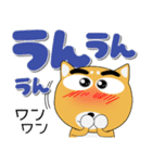 毎日、柴犬くん デカ文字（個別スタンプ：5）
