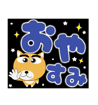 毎日、柴犬くん デカ文字（個別スタンプ：17）