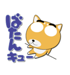 毎日、柴犬くん デカ文字（個別スタンプ：31）