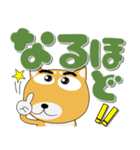 毎日、柴犬くん デカ文字（個別スタンプ：32）