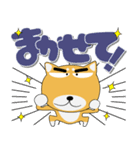 毎日、柴犬くん デカ文字（個別スタンプ：36）