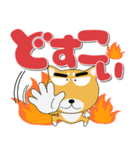 毎日、柴犬くん デカ文字（個別スタンプ：37）