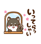 黒豆柴 あずき♡毎日使えるスタンプ（個別スタンプ：6）