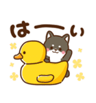 黒豆柴 あずき♡毎日使えるスタンプ（個別スタンプ：14）