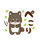 黒豆柴 あずき♡毎日使えるスタンプ（個別スタンプ：16）