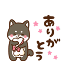 黒豆柴 あずき♡毎日使えるスタンプ（個別スタンプ：19）
