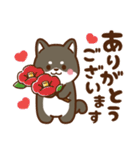 黒豆柴 あずき♡毎日使えるスタンプ（個別スタンプ：20）