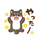黒豆柴 あずき♡毎日使えるスタンプ（個別スタンプ：25）