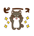 黒豆柴 あずき♡毎日使えるスタンプ（個別スタンプ：28）